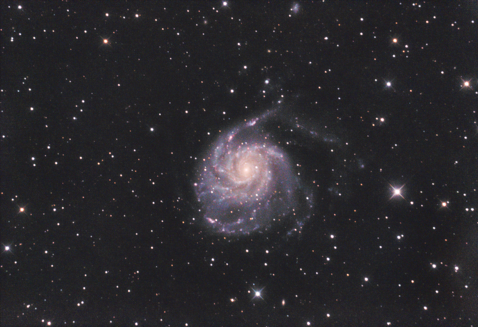 M101 RIELABORATA.JPG