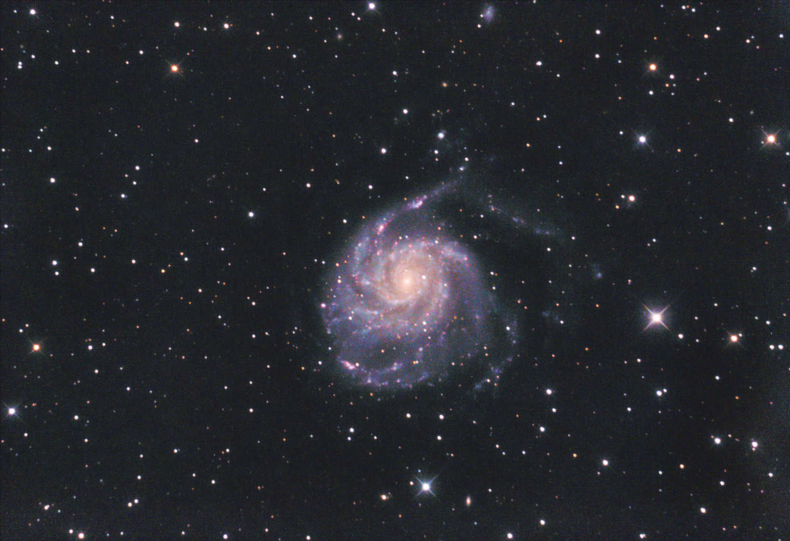 M101 più colore .jpg