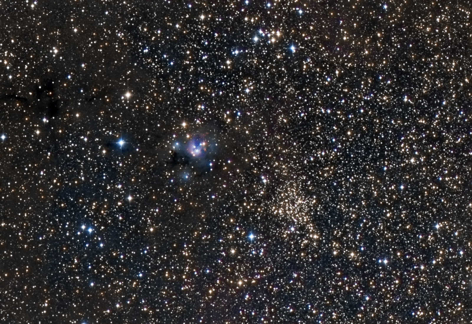 NGC7129-7142.jpg